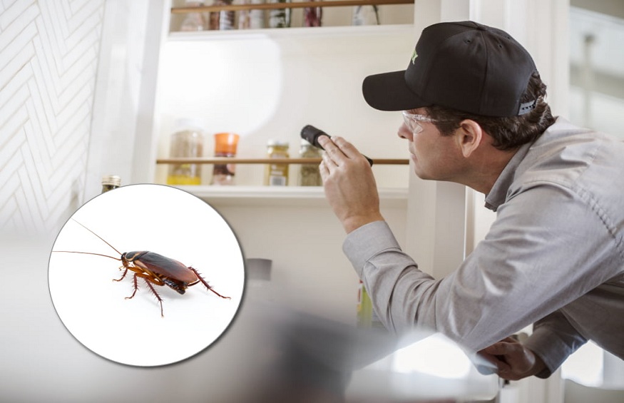 Can Control Pest Infestation